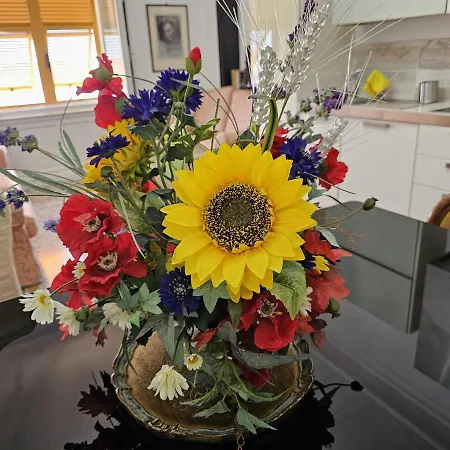 Antiche Memorie-eleganza E Confort-palazzo Gropallo, Brignole *