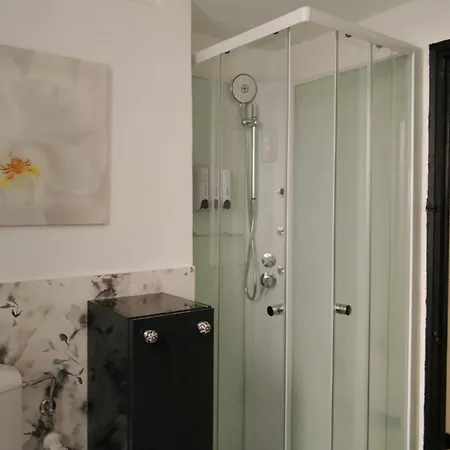 Antiche Memorie-eleganza E Confort-palazzo Gropallo, Brignole *